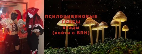 марихуана Новодвинск