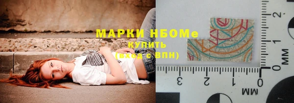 СК Новозыбков