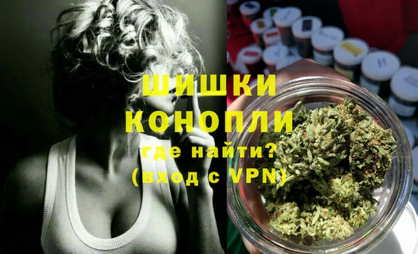 СК Новозыбков