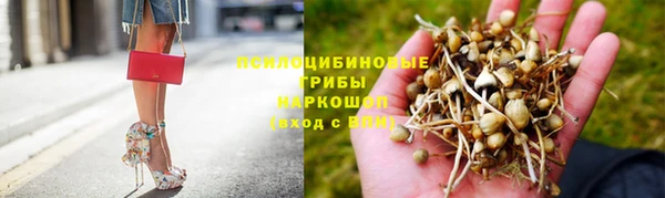 марихуана Новодвинск