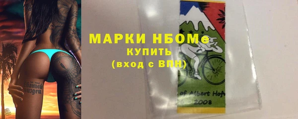 СК Новозыбков