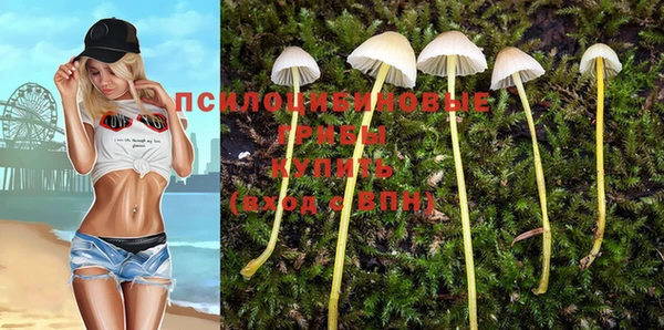 марихуана Новодвинск